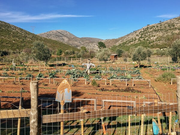 Στο Farmamoo μπορείς να νοικιάσεις ένα κομμάτι γης, για να καλλιεργήσεις μέρος της τροφής σου