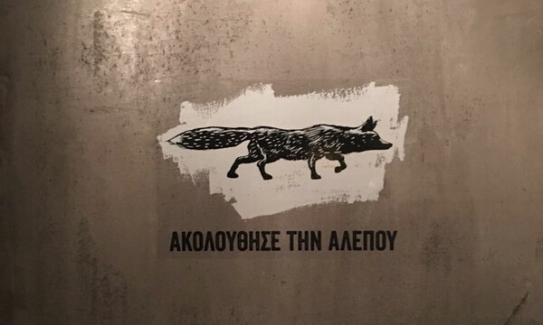 Ποια είναι, τέλος πάντων, αυτή η αλεπού που έχει αναστατώσει το κέντρο της Αθήνας;