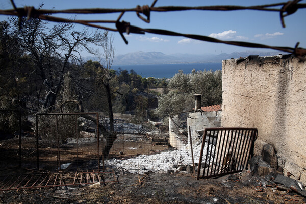 Στάχτη και αποκαΐδια: Δραματικές εικόνες από το πέρασμα της φωτιάς σε Βαρνάβα, Κάλαμο, Καπανδρίτι