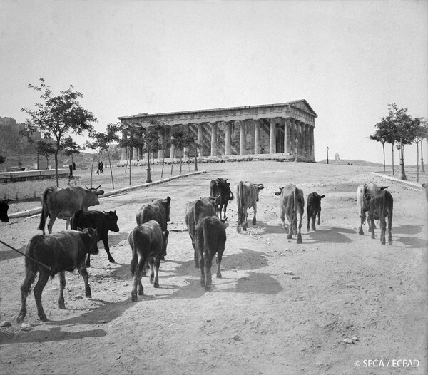 12 σπάνιες εικόνες από την Αθήνα του 1917