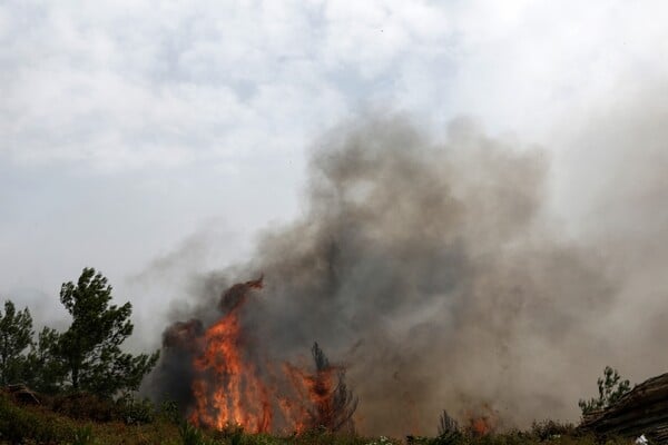 Σε εξέλιξη μεγάλη φωτιά στην νότια Κέρκυρα