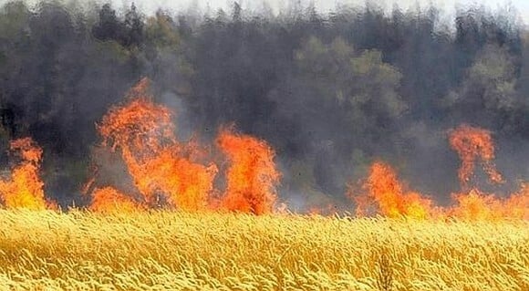 Αλγερία: 100 μέτωπα φωτιάς στο τελευταίο 48ωρο