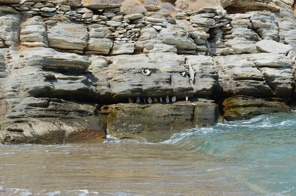 Tα Beach creatures του Πάρι Κούτσικου