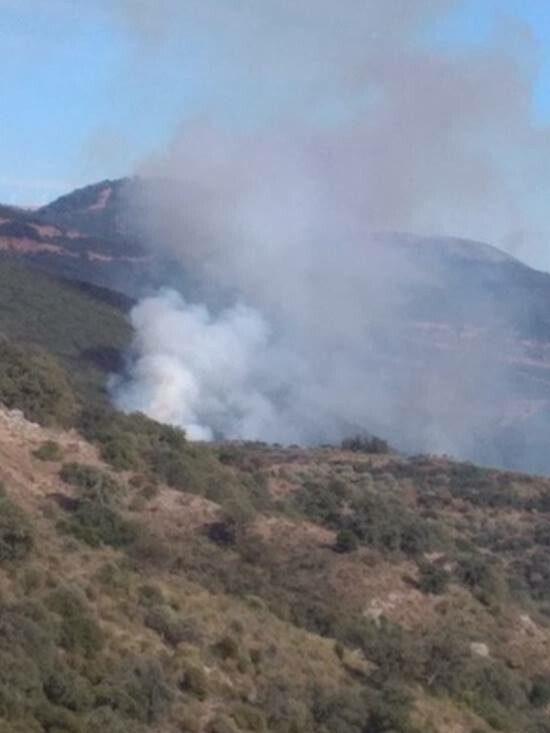 Πυρκαγιά στην Παλαιοκαρυά Αγρινίου