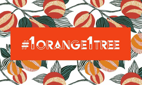 Το Cointreau παρουσιάζει στην Ελλάδα το Project #1orange1tree