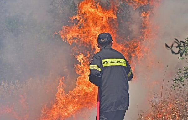 48 δασικές πυρκαγιές εκδηλώθηκαν σε όλη την Ελλάδα το τελευταίο 24ωρο