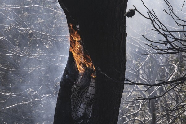 Πυρκαγιά σε δύσβατη περιοχή στα Χανιά