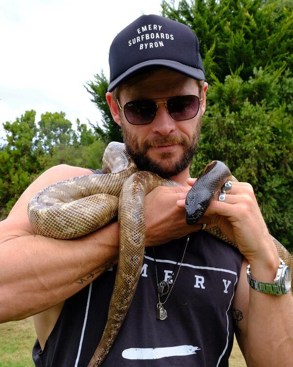 O Chris Hemsworth πήγε ταξίδι με τα παιδιά του, κολύμπησε με δελφίνια κι αγκάλιασε φίδια και κοάλα