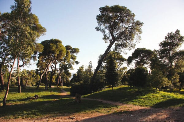 Ένα καλό κρασί μπορεί να συνοδεύσει ιδανικά ένα γεύμα κάτω από τα δέντρα