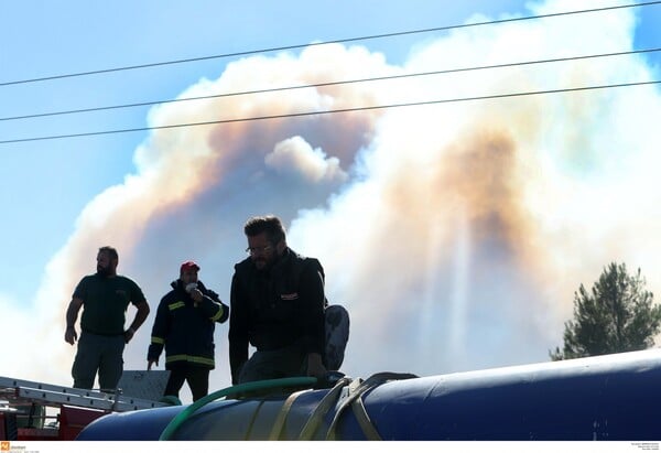 Σε κατάσταση έκτακτης ανάγκης η Σάρτη Χαλκιδικής- Εκκενώνονται σπίτια (ΦΩΤΟΓΡΑΦΙΕΣ & ΒΙΝΤΕΟ)