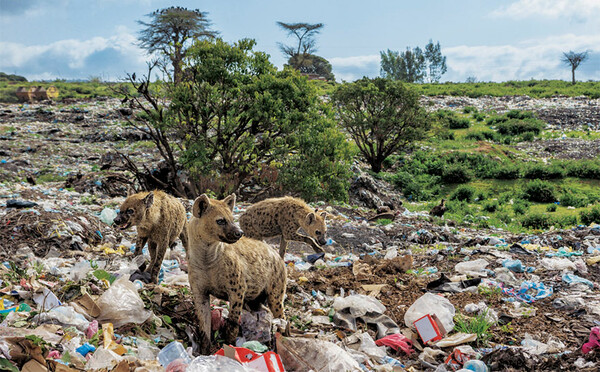 Όλοι μιλούν για το εξώφυλλο του National Geographic αλλά το πραγματικό σοκ είναι στις εικόνες μέσα