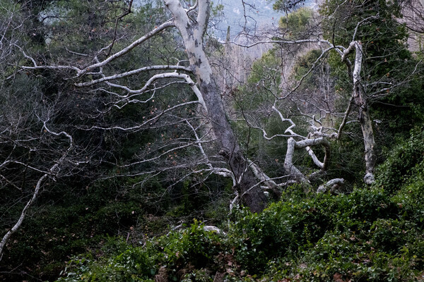 Freeflow ή αλλιώς απολύτως τίποτα