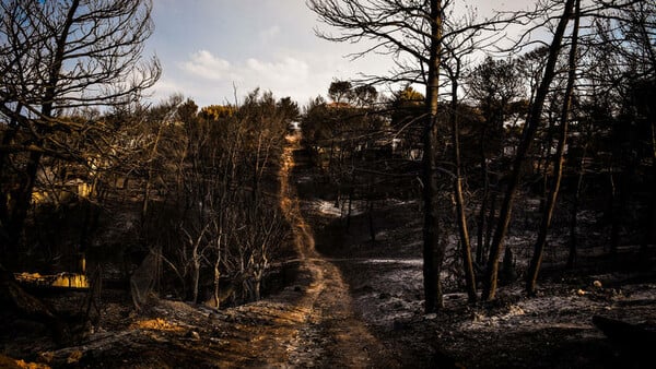 Σε επιφυλακή οι υπηρεσίες της Περιφέρειας Αττικής