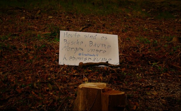 Η μάχη για το δάσος του Χάμπαχ