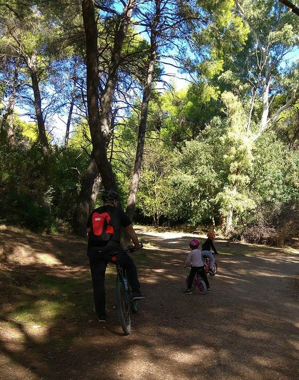 Ένα καλό κρασί μπορεί να συνοδεύσει ιδανικά ένα γεύμα κάτω από τα δέντρα