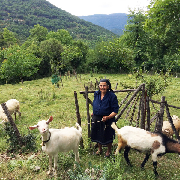 Tαξίδι στα Βόρεια Τζουμέρκα