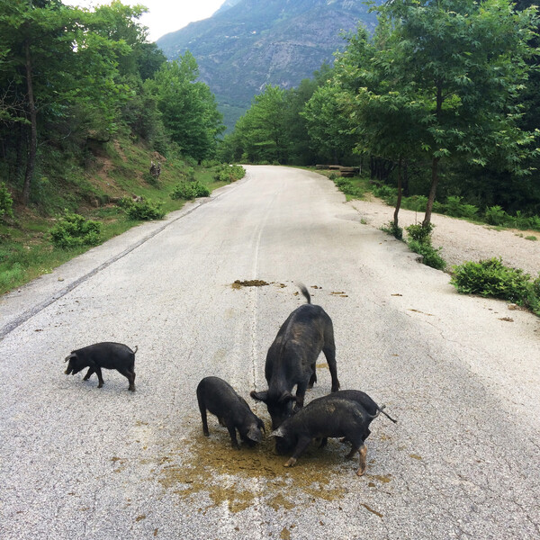 Tαξίδι στα Βόρεια Τζουμέρκα