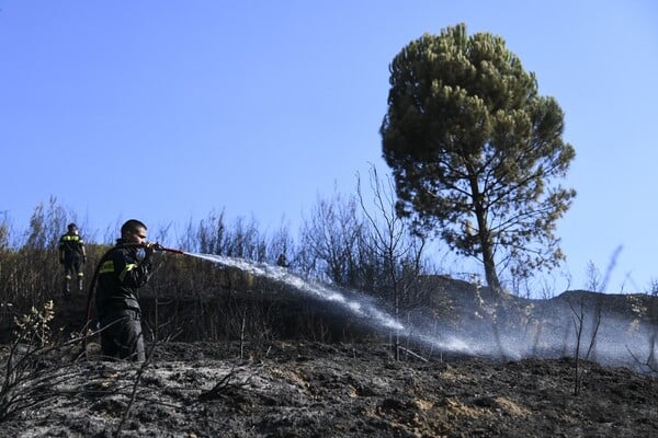 Υπό έλεγχο η φωτιά στην Κασσάνδρα Χαλκιδικής