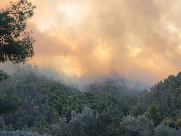 Σε κατάσταση έκτακτης ανάγκης η Σάρτη Χαλκιδικής- Εκκενώνονται σπίτια (ΦΩΤΟΓΡΑΦΙΕΣ & ΒΙΝΤΕΟ)