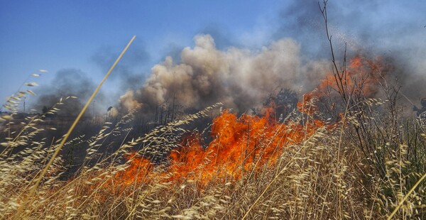 Πυρκαγιά στη Βοιωτία κοντά σε στρατόπεδο με καύσιμα - Συναγερμός στην Πυροσβεστική