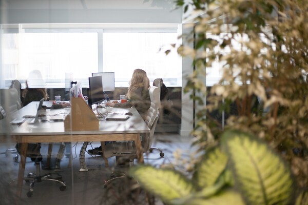 Ένα γραφείο στην Ομόνοια με meeting rooms μέσα σε εσωτερικούς κήπους