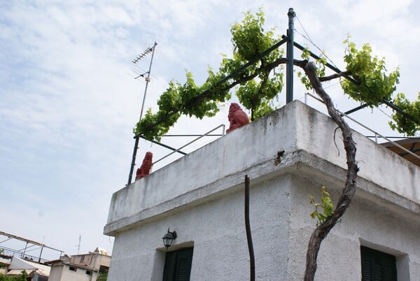 Αρχαία Κόρινθος