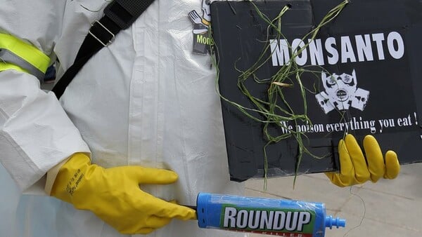 Monsanto: Τεράστια αποζημίωση σε ζευγάρι με καρκίνο - Η τέταρτη καταδίκη για τη γλυφοσάτη