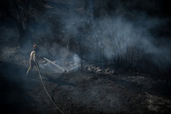 Θάσος: Υπό πλήρη έλεγχο τέθηκε η φωτιά