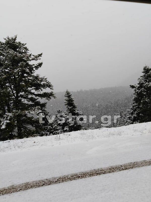 Ήρθαν τα πρώτα χιόνια – Στα λευκά ο Παρνασσός