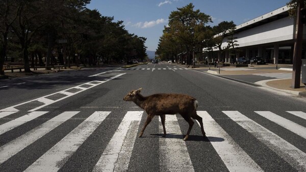 Η μεγάλη παύση της ανθρωπότητας - Επιστήμονες θα ερευνήσουν τι προκλήθηκε με το lockdown