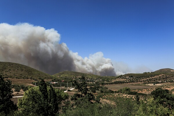 Ανεξέλεγκτη η φωτιά στα Καλύβια: Εκκενώνονται Ανάβυσσος και Παλαιά Φώκαια - «Έχουν καεί σπίτια»