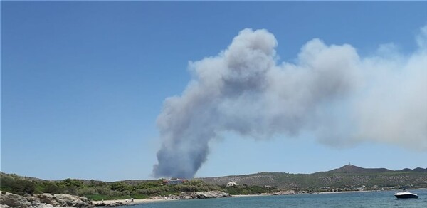 Μεγάλη πυρκαγιά σε δασική έκταση στο Λαύριο - Εκτάκτως στο σημείο ο Χαρδαλιάς