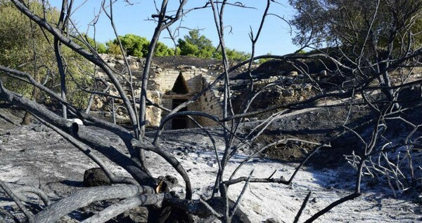 Τσίπρας για την πυρκαγιά στις Μυκήνες: «Λίγη ντροπή δεν θα έβλαπτε»