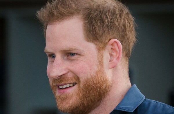 Prince Harry picks up another job