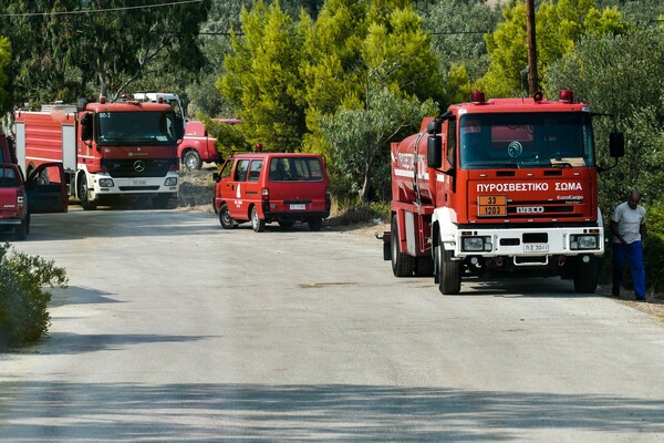 Πολύ υψηλός κίνδυνος πυρκαγιάς σήμερα- Σε ποιες περιοχές