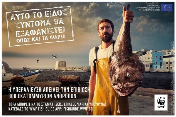 Tι σημαίνει «υπεύθυνη ψαροφαγία» - Η WWF εξηγεί μέσα από έναν χρηστικό οδηγό τη σημασία της