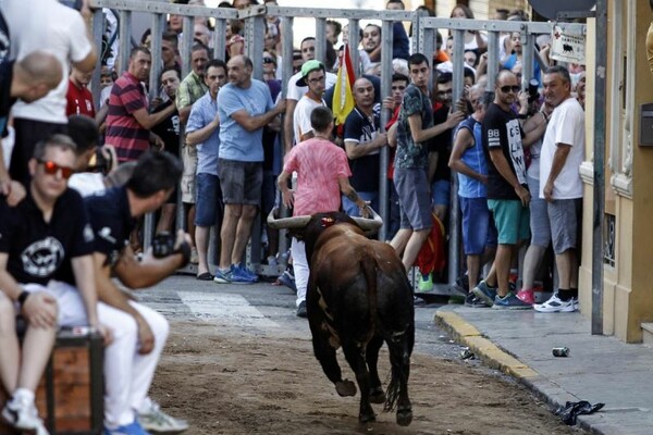 Ταύρος σε φεστιβάλ ποδοπατά και σκοτώνει με τα κέρατα έναν άντρα (ΣΚΛΗΡΕΣ ΕΙΚΟΝΕΣ)