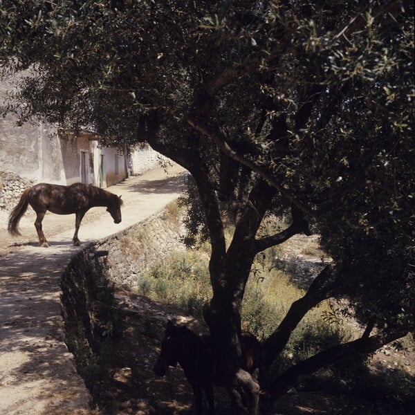 Η ομορφιά και η ηρεμία των Επτανήσων του 1974 σε 20 μαγικές φωτογραφίες