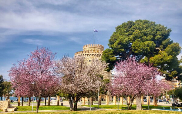 Εμπορικός Σύλλογος Θεσσαλονίκη σε Μητσοτάκη: Ανοίξτε την αγορά, δεν θα πειθαρχήσουν οι έμποροι