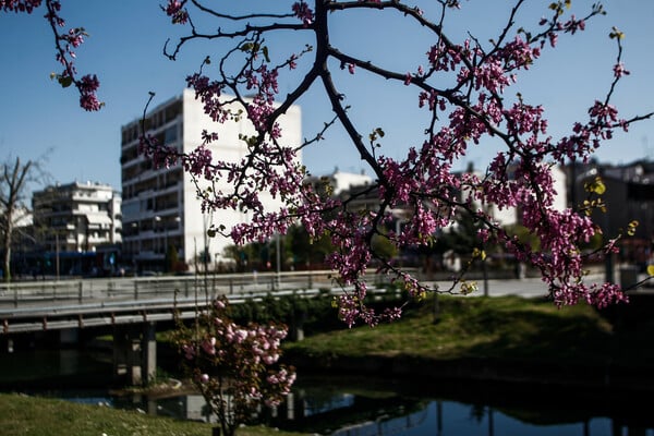 Καιρός: Έως τους 24 βαθμούς Κελσίου το θερμόμετρο σήμερα- Πού αναμένονται βροχές