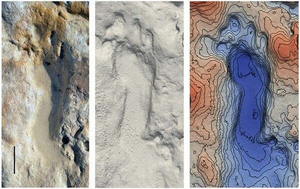 100,000-year-old Neanderthal footprints show children playing in the sand