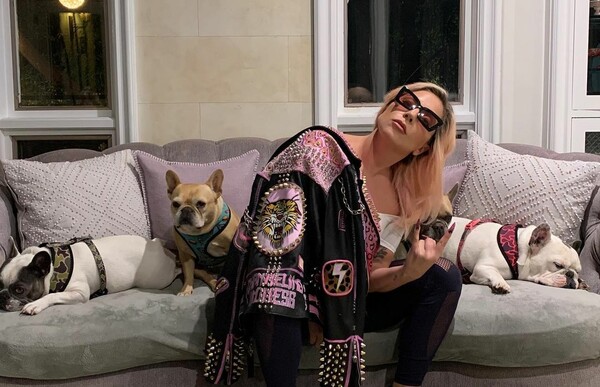 Lady Gaga: Five arrested in dognapping case