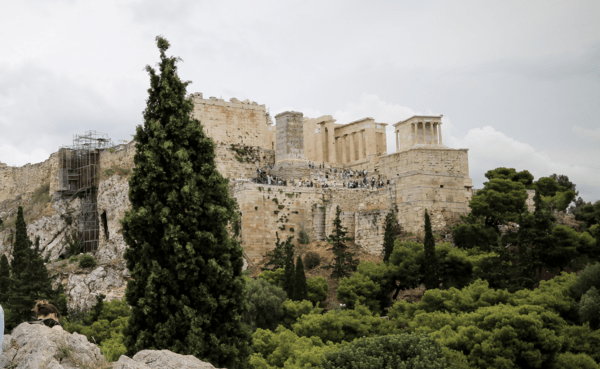 Αγχουσέλα η ποικιλόχρωμη & καμπανούλα η δραβόφυλλη: 220 είδη φυτών γύρω από την Ακρόπολη