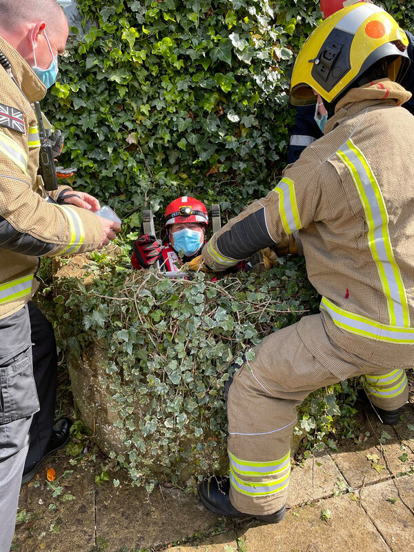 Cat Missing for 10 Days Saved from the Bottom of a Well After Dog Hears Her Cries