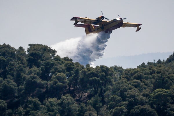 Πυρκαγιά σε δάσος στο Αρχοντικό Λακωνίας