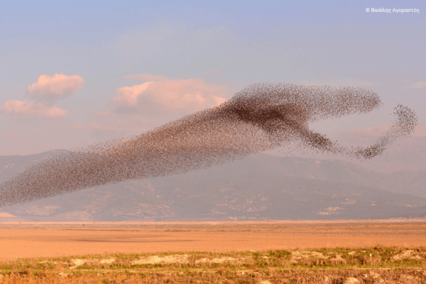 Η ομορφιά των ελληνικών περιοχών Natura 2000 σε 40 εντυπωσιακές φωτογραφίες