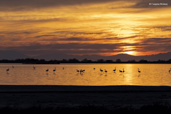 Η ομορφιά των ελληνικών περιοχών Natura 2000 σε 40 εντυπωσιακές φωτογραφίες