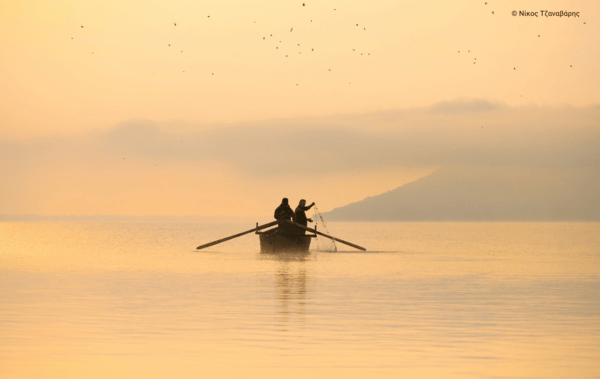 Η ομορφιά των ελληνικών περιοχών Natura 2000 σε 40 εντυπωσιακές φωτογραφίες