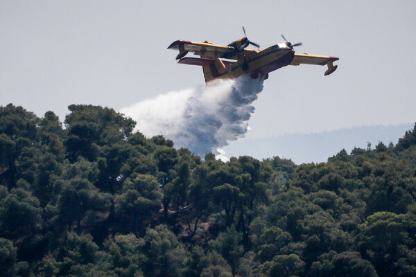 Θεσσαλονίκη: Φωτιά σε δασική έκταση στον δήμο Θέρμης- Ρίψεις νερού από αεροσκάφη