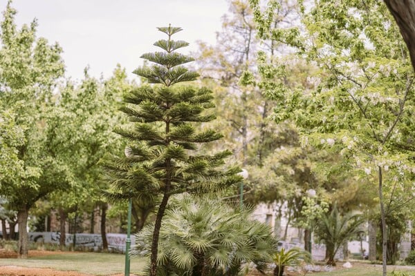 Τα Πατήσια μόλις απέκτησαν έναν χώρο πρασίνου- πρότυπο